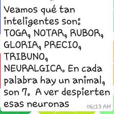 Los tratamientos para los retos de salud mental pueden ser efectivos y la. Embedded New Memes Brain Teasers Mind Gym