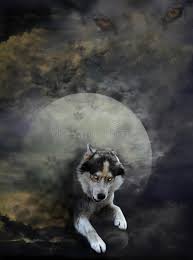 January's full wolf moon reaches peak illumination on thursday, january 28, at 2:18 p.m. Fantasy Moon Wolf Photos Free Royalty Free Stock Photos From Dreamstime