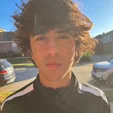 BVB International Academy America (Boys)