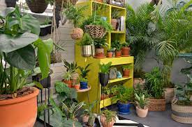 Use one or both planters depending on how green your amazon shoppers are obsessed with this cute wooden plant stand that can fit just about anywhere. Discover Your Wild With Indoor Plants And Lifestyle Home Garden This Winter