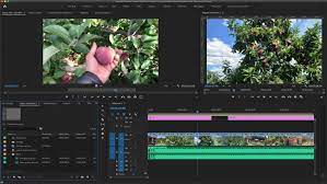 Click on below button to start beauty box video for adobe after effects and premiere pro free download. Adobe Premiere Pro 2021 Crack V15 4 0 47 Universal Patcher Free Download