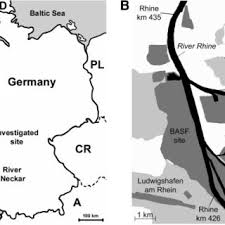 You have made the following selection in the maps.me map and location directory: Pdf 34 Years Of Investigation In The Rhine River At Ludwigshafen Germany Trends In Rhine Fish Populations