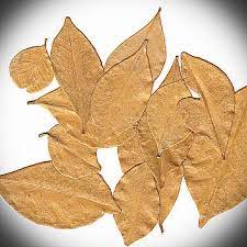 Membuat mozaik dari daun kering kerajinan tangan dari daun kering ayzhaf channel hai teman teman divideo kali ini kita. Daun Kering Desain Kerajinan Tangan Di Carousell