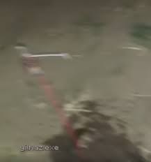 Poor rodger roach 😞 #fireworks #funny #joke #fyp