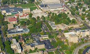 Michigan state university, east lansing programs: The 21 Best Video Game Design Schools In The Us