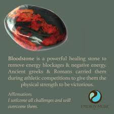 Bloodstone Stone View The Best Bloodstone Stones From Energy Muse Now Healing Stones Crystal Healing Stones Crystals