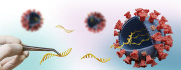 We did not find results for: Xell Ag Customized Solutions For Cell Cultures