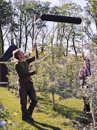 Check spelling or type a new query. 44 Fruit Tree Netting Ideas Fruit Trees Bird Netting Garden Netting
