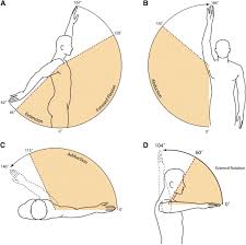 Defining Functional Shoulder Range Of Motion For Activities