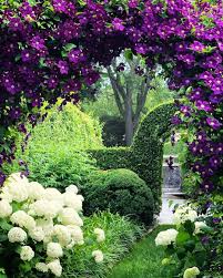 Most species are known as clematis in english, while some are also known as traveller's joy,. Secrets Of A Hostess On Instagram Gorgeous Garden At Inagarten S East Hampton Home Where An Gorgeous Gardens Backyard Garden Landscape English Garden Design
