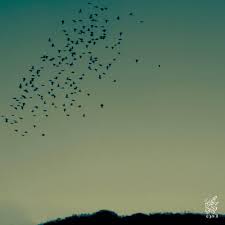 高山純のソロユニット・speedometer.が、20年ぶりにフルアルバム「afterglow -残照-」をリリース。同名のフォトブックも同時発売。  | paperC