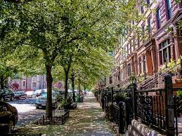 explore brooklyn s bustling bedford stuyvesant brooklyn new york brooklyn nyc trip