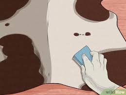How do you clean urine out of a futon mattress? 3 Ways To Clean A Cowhide Rug Wikihow