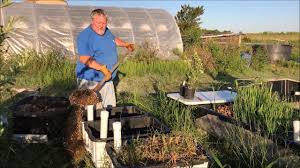 An introduction to hydroponics production, including types of hydroponic systems, what to plant and when what are some primary benefits of growing hydroponically? How To Grow Hydroponic Blueberries High Tech Gardening
