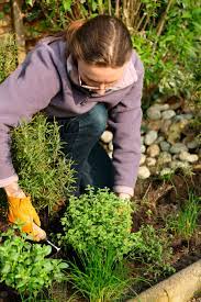 Maybe you would like to learn more about one of these? Herb Garden Design How To Make An Herb Garden