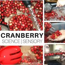 Thanksgiving science activities for preschoolers. Thanksgiving Sensory Play And Fine Motor Activities