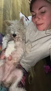 Where can I take my dog swimming? On leash of course