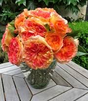 Alles für garten, balkon, terrasse und heim. Kollektion Parfum Rosen Duftrosen Bei Baldur Garten