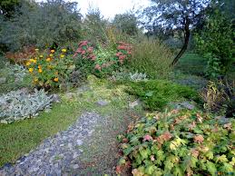 Tanti Consigli Per Progettare Un Aiuola Perenne E Quali Fiori Scegliere Lombarda Flor