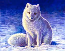 Peaceful Winter Arctic Fox Painting By Rebecca Wang All the best arctic fox painting 32+ collected on this page.