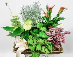 Ganims garden center and florist. Fairfield Ct Local Florist Flowers Delivery By Hansen S Flower Shop