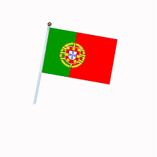 Before uploading additional flag images check category: 5pcs Lot Hand Flags 14 21cm Of Russia Germany Brazil Portugal Argentina Belgium Poland France With Pole Handing Flag Flags Banners Accessories Aliexpress