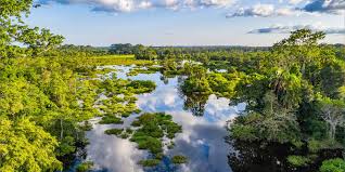 The democratic republic of the congo, often referred to as drc or congo, and formerly as zaire, is the second largest country by area on the african continent and the richest in mineral wealth. Work Visa Requirements In Republic Of The Congo How To Get Republic Of The Congo Work Permits