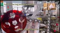 Full Automatic Pyramid Tea Bag Packing Machine for Russian Herbal Tea #teabag #packagingmachine