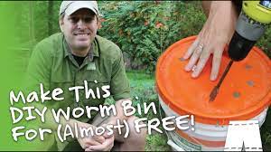 Buy red worms, composting, diy worm bin, easy outdoor worm bin, eisenia foetida, european nightcrawlers,. How To Make A Diy 2 Bucket Worm Composter For Free Youtube