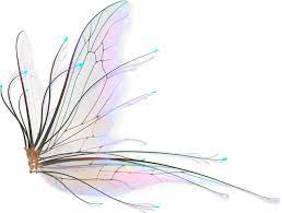 Pin By Jorge Gaston On Fairies Fairy Wings Drawing Fairy Wings Fairy Wing Tattoos