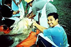 Pada hari raya ini kita umat islam dianjurkan untuk memberikan hewan qurban terbaik kita. Hari Raya Aidiladha Lomography