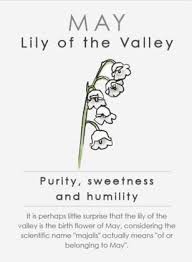 Many flowers, herbs, trees, and other plants traditionally symbolize feelings the acacia flower means a love that is true, chaste, and pure. May Birth Flower Lily Of The Valley Horoscope Zodiac Astrology Birth Flowers Birth Flower Tattoos May Birth Flowers