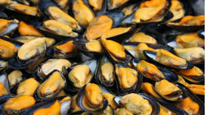 M For Midye Dolma Nefaset Fiskiyesi Midye Dolmanin 13 Guzelligi Seyahat Rehberi Yemek Tarifler