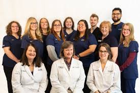 Find jobs company reviews find salaries. South Town Animal Hospital Veterinary Clinic Hospital South Elgin