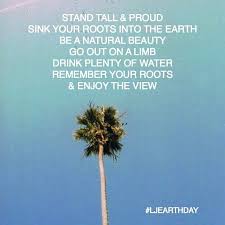 Palm tree is a kind of tree that grows in tropical regions and has a straight, tall trunk and many large leaves at the top of the trunk. Log In Instagram Palm Tree Quotes Tree Quotes Analogies Quotes