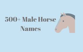 He got his name after being wounded in battle against native americans. 500 Male Horse Names For Your Lovely Stallion Equine Desire