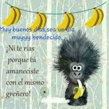 It is one of the most widely applied tool for the continuation of social life. Buenos Dias Chistoso Bonitasimagenes Net