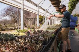 Find other home & gardening items in illinois usa and more free stuff in the listia marketplace. Alwerdts Gardens