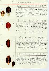 Check spelling or type a new query. Lu