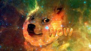 Here you can get the best doge wallpapers for your desktop and mobile devices. 45 Doge Wallpaper 1920x1080 On Wallpapersafari
