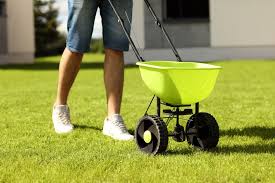 How much land will a. 5 Tips For Overseeding Your Lawn