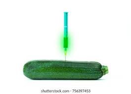 How is zucchini genetically modified. Genetically Modified Zucchini Glow Stock Photo Edit Now 756397453
