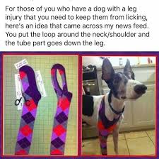 Dog Products Must Have Stuff For Dog Lovers Spiffy Pet Products Pets Dog Care Diy Dog Stuff
