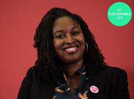 Butler was elected as the mp for brent south at the 2005 general election. Dawn Butler My Sustainable Life We Could All Learn More About Environmentalism By Following The Example Of Rasta Men The Independent