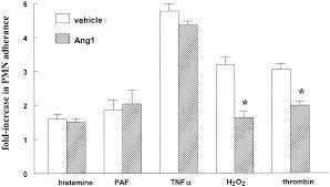 Angiopoietin 1 Inhibits Endothelial Permeability Neutrophil Adherence And Il 8 Production Pizurki 2003 British Journal Of Pharmacology Wiley Online Library