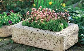 Pflanzgefasse Aus Beton Selber Machen Dekorative Pflanzgefasse Pflanzen Gartengestaltung Ideen