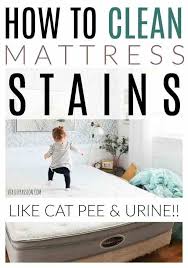 How To Clean Mattress Stains Like Pee Diy Passion Clean Mattress Stains Mattress Cleaning Mattress Stains