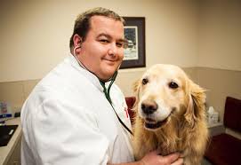Since 1982, park lane veterinary hospital has been committed to providing the highest standards of veterinary care for pets in norman, oklahoma. Norman Pet Services Wellness Exams Vaccines Boarding Ok