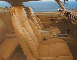 Covercraft seat covers protect your seats from dust, dirt, grime, spills and other daily abuse. 1979 Camaro Front Bucket Seat Covers Set Camaro Berlinetta Deluxe Vinyl Pair