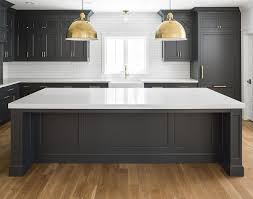 Stark white shaker cabinets and matte black hardware. Hot New Kitchen Trend Dark Cabinets Subway Tile Shiplap Home Bunch Interior Design Ideas